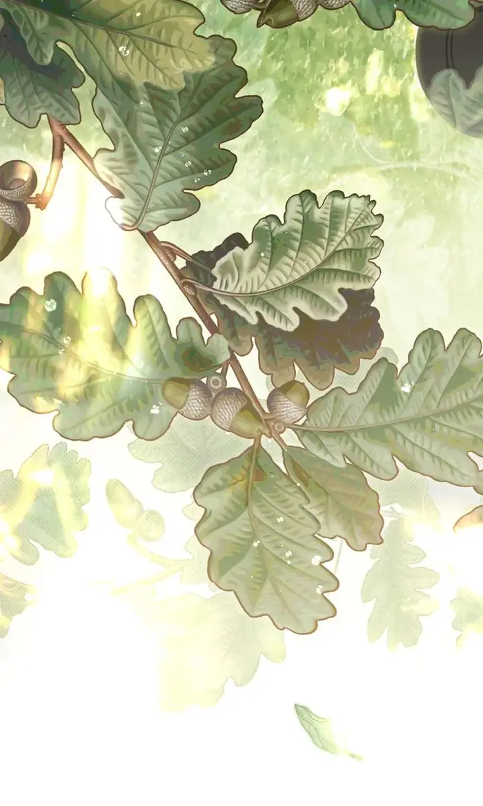 Under the Oak Tree    Chapter 97 image 14_optimized